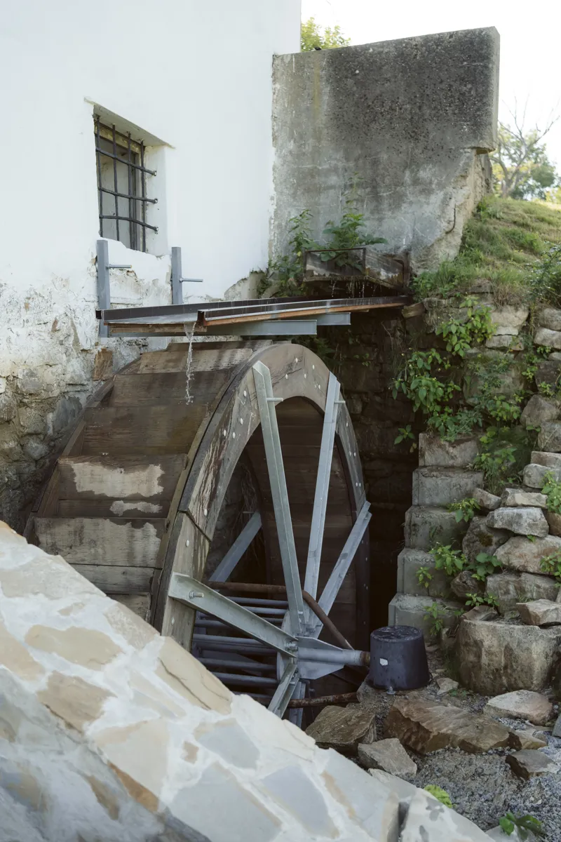 Svatební fotografie Moravská Svatbička